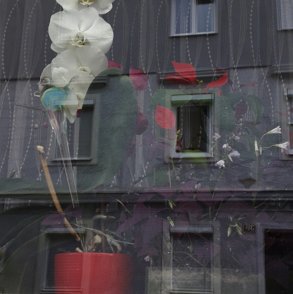 Ausstellung Auf/Bruch 5. Oktober bis 20. November 2017