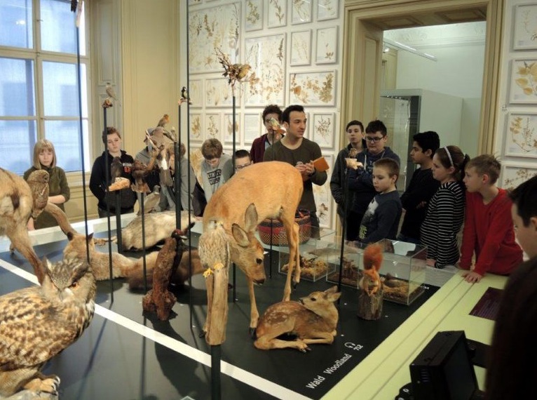 Kooperation: Aktionstag „Schule schaut Museum“ Universalmuseum Joanneum am 7. März 2018